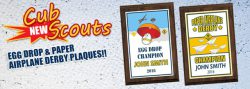 NEW! Cub Scout Egg Drop and Paper Airplane Derby